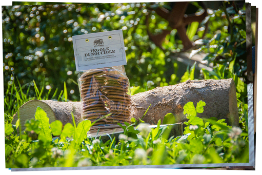 presentation of hazelnut tiles