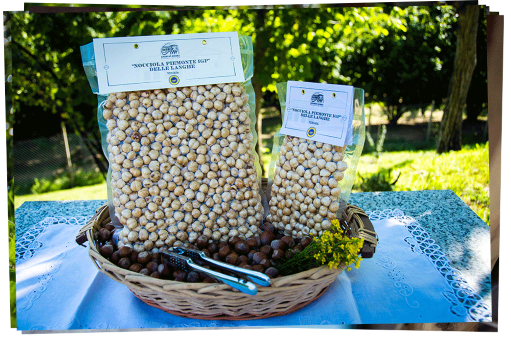 toasted hazelnuts presentation